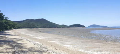 해변연가 민박_갯벌체험장