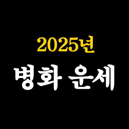 2025년 을사년 병화 운세