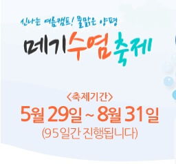 8월축제
