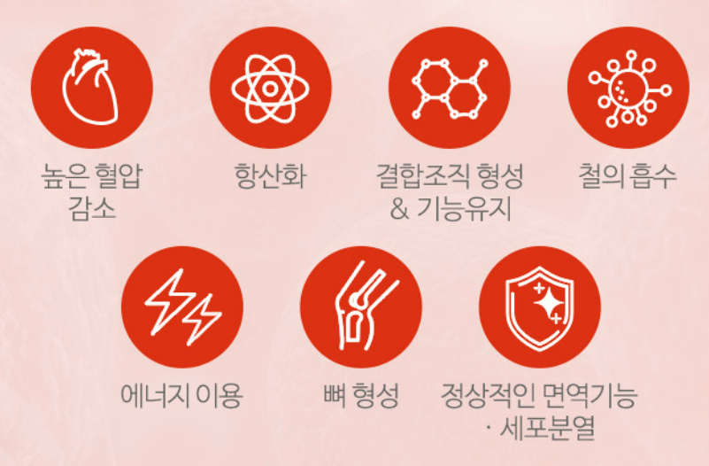 코큐텐(코엔자임) 추천 순위 TOP 5(24년 2월)