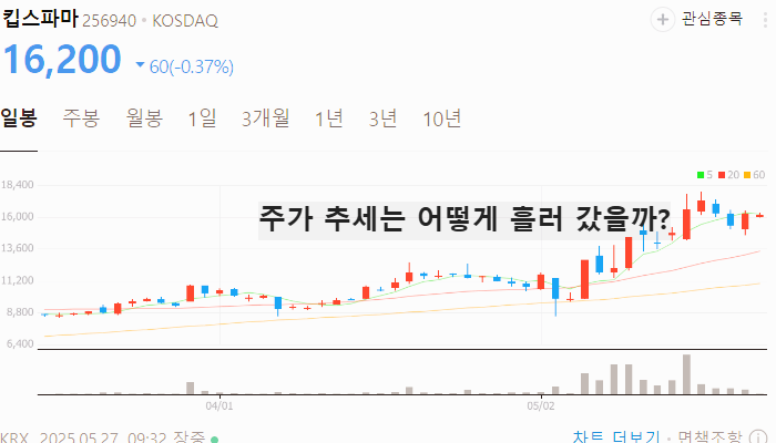 위고비 관련주 대장주 테마주 TOP5 : 비만치료제