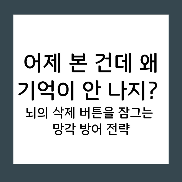 공들여 쌓은 지식이 자꾸만 사라진다면? 당신의 기억력이 아니라 복습의 '방식'이 문제일 수 있습니다. 에빙하우스의 망각 곡선을 이기는 인출(Retrieval) 중심의 3단계 루틴과 뇌 과학 기반의 기억 방어 기제를 지금 확인해 보세요.