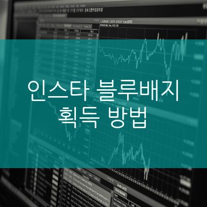 인스타 블로배지 획득 방법