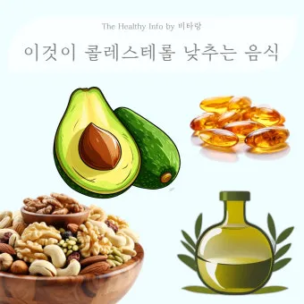 콜레스테롤 낮추는 음식 고지혈증 식단 좋은 기름 선택_8