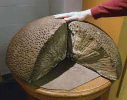 결핵 보건소에서 무료검진 대상 및 신청 방법 