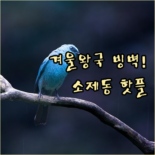 대전 동구 겨울 여행 코스 상소동 산..