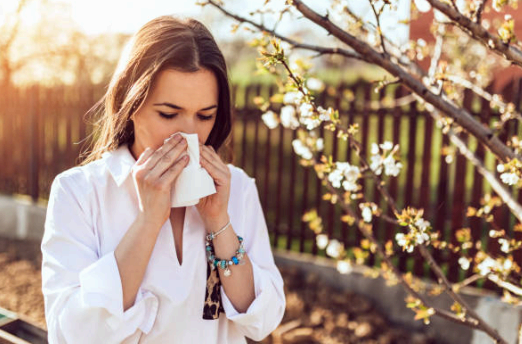 봄 알레르기 비염증상 이미지사진