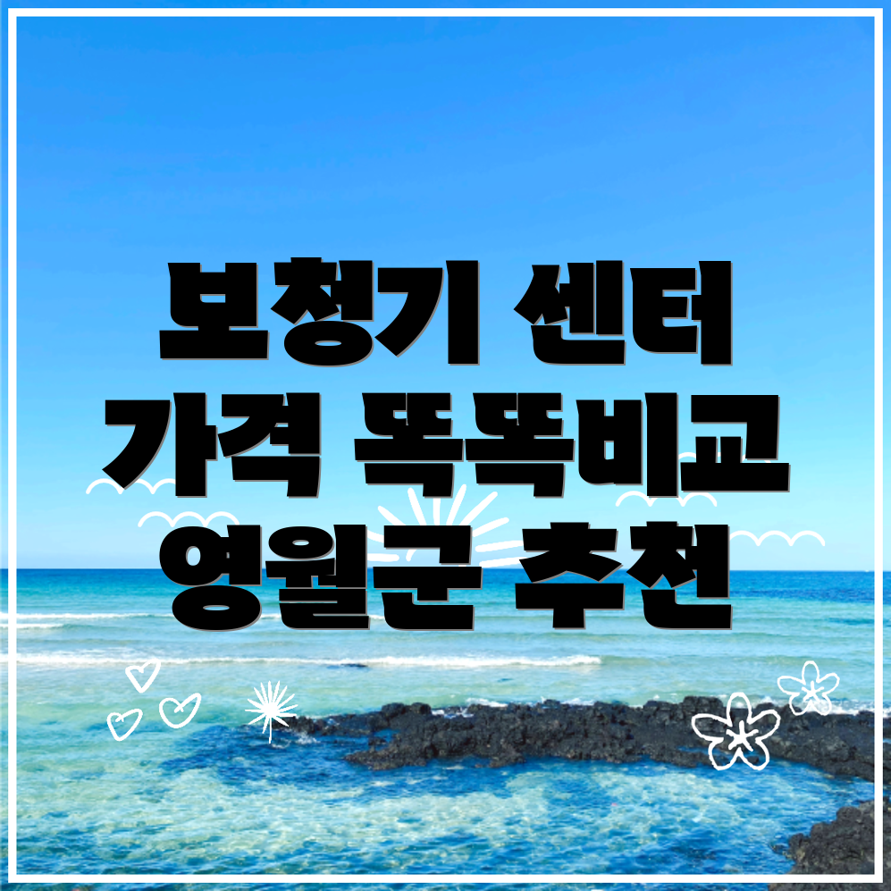 영월군 보청기