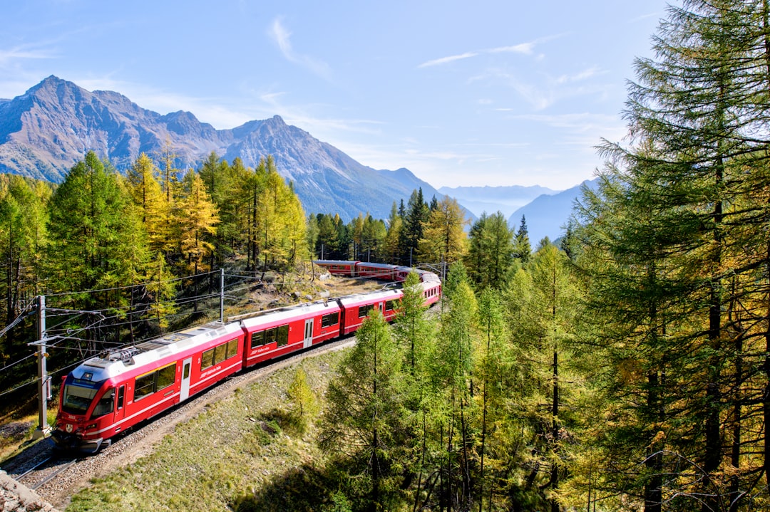 'Train'