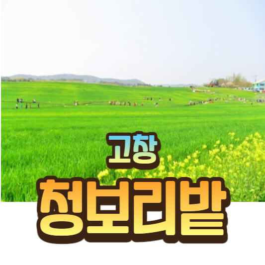 고창 청보리밭 축제