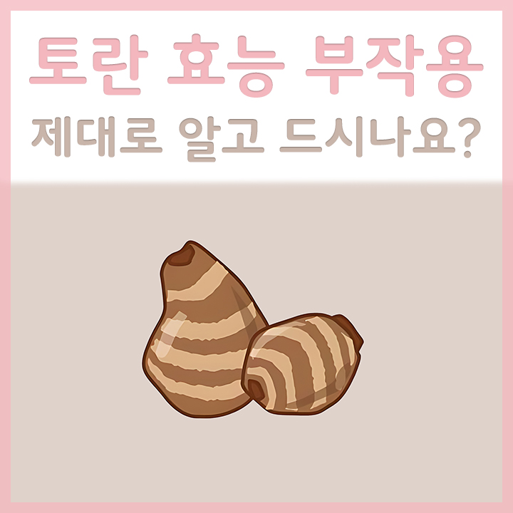 토란