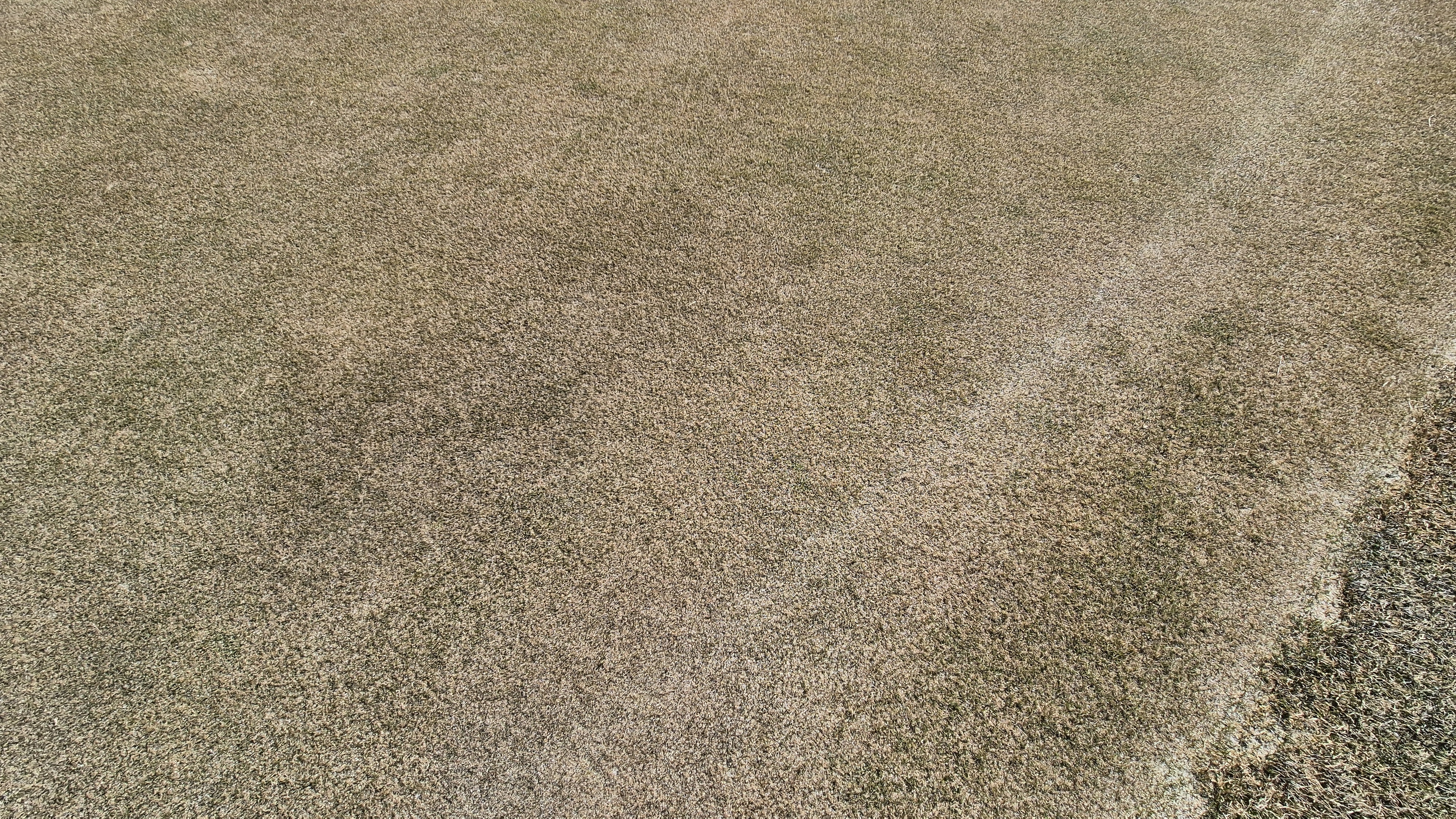 로제비앙gc 로제-비앙 코스 그린 관리 상태