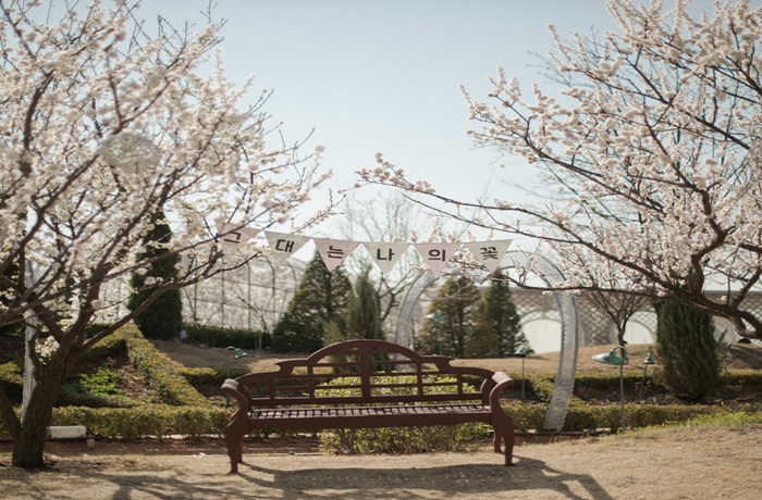 퍼스트가든 봄꽃축제-블루밍가든 (출처:한국관광공사)
