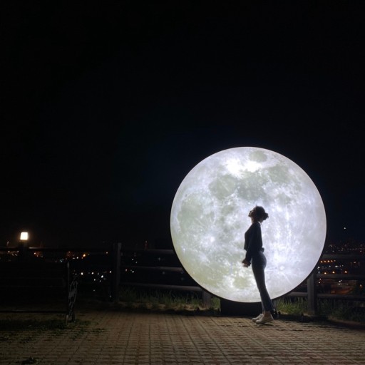 도시숲-포토존