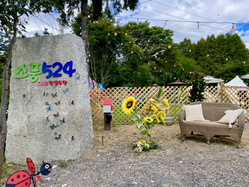 소풍524