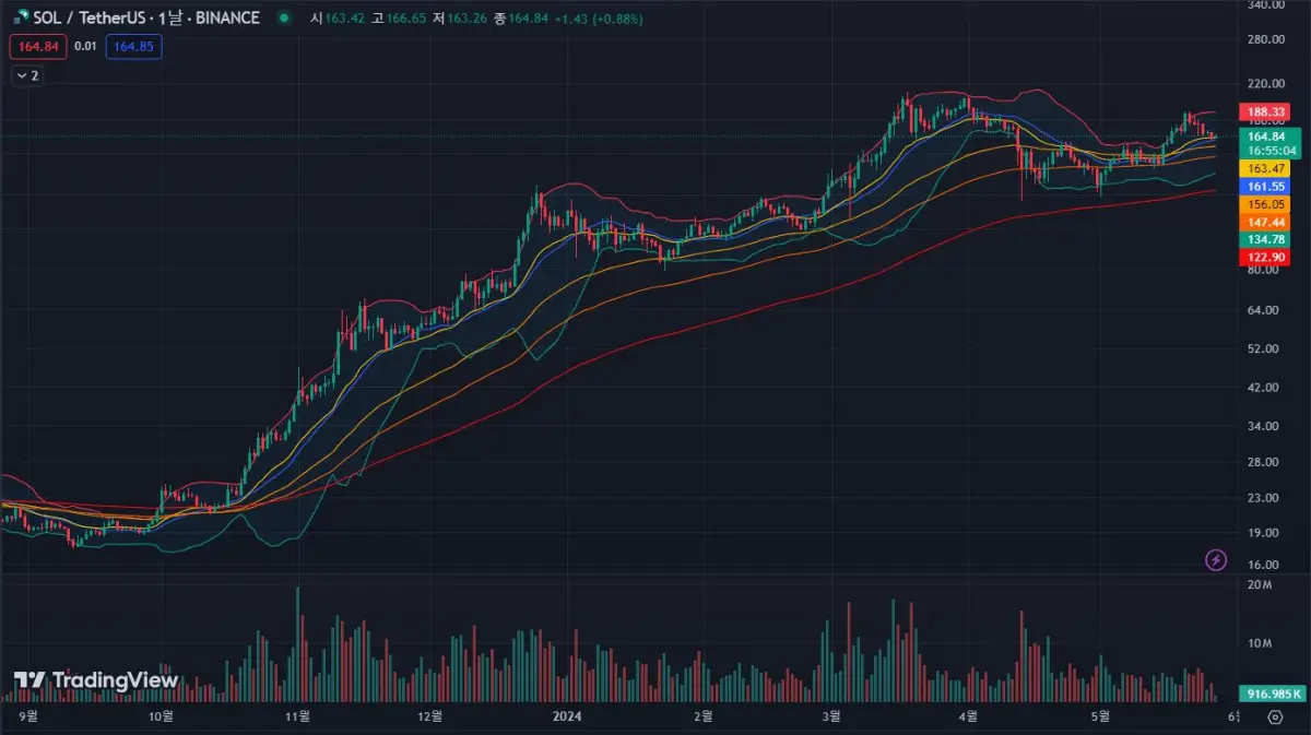솔라나-일봉-차트