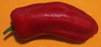 오믈렛 황금레시피_21