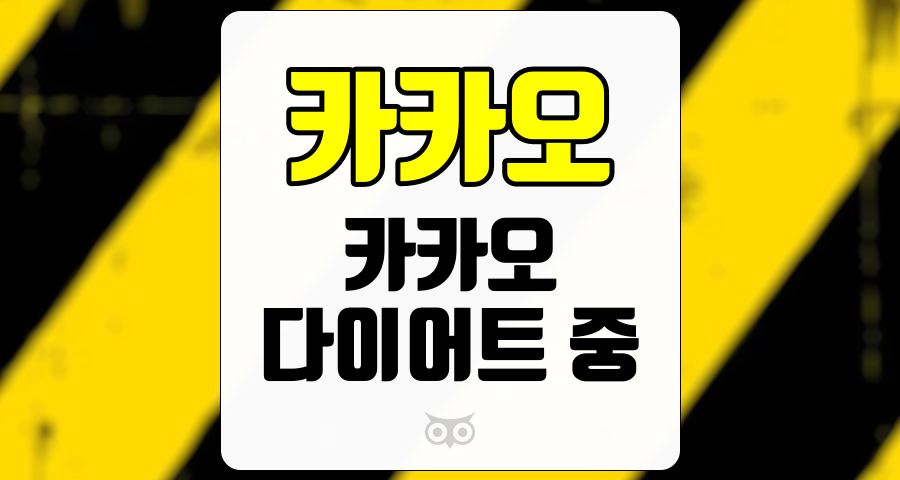 카카오, 카카오는 현재 다이어트 중, 실적 부진과 향후 전망