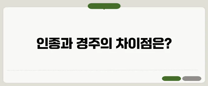 race 뜻과 인종·경주 상황별 해석