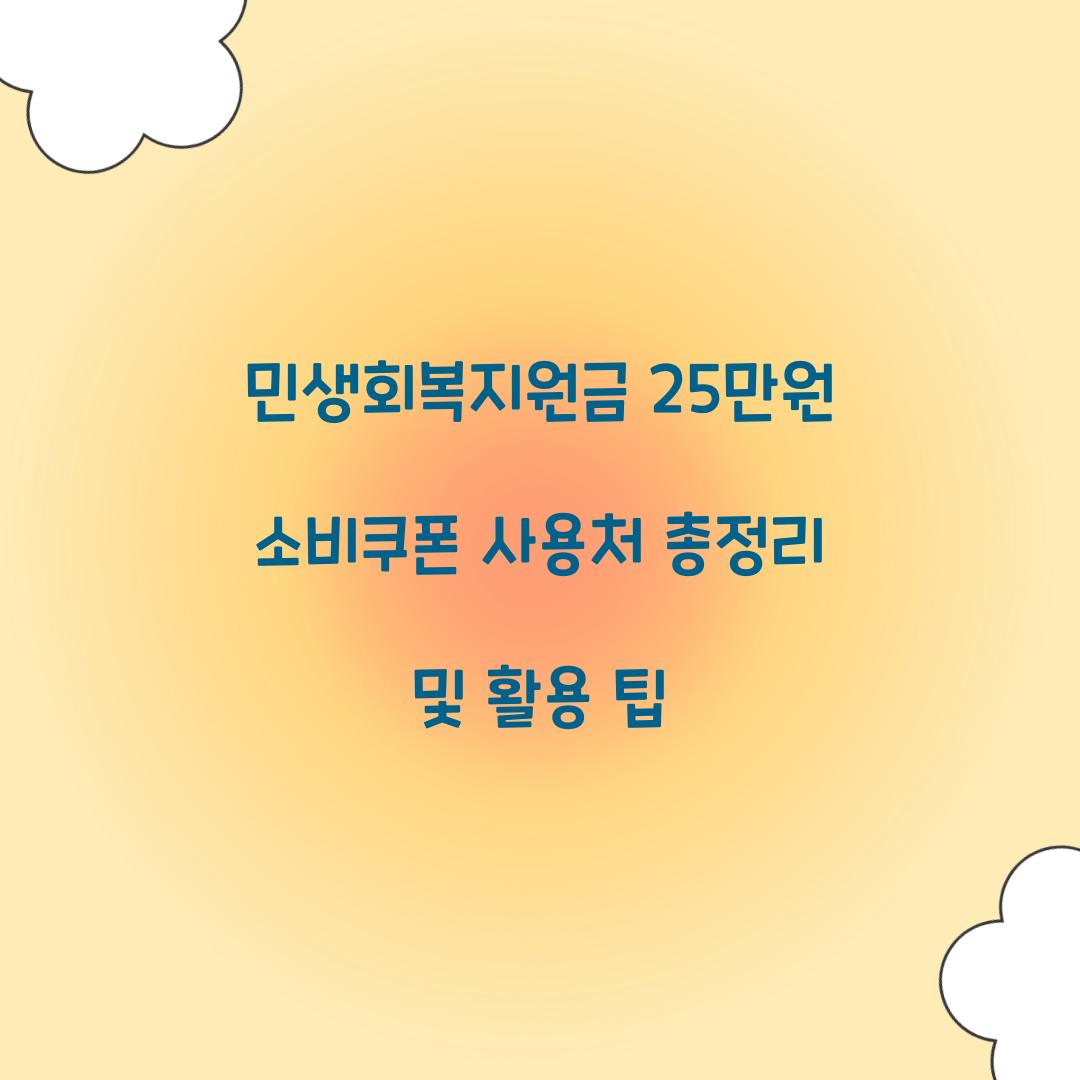 민생회복지원금 25만원 소비쿠폰 사용처