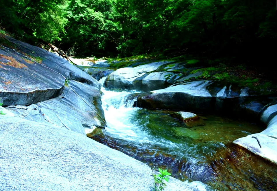 오개탕계곡,오개탕계곡 예약,오개탕 주차장,다슬기 체험,강원도 계곡 추천