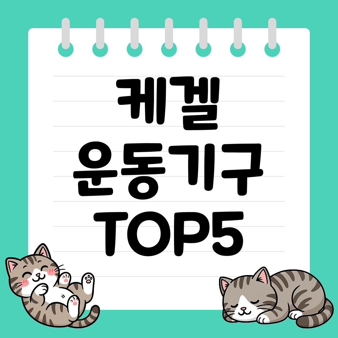 남녀 모두에게 필요한 케겔 운동기구 추천 순위 TOP5
