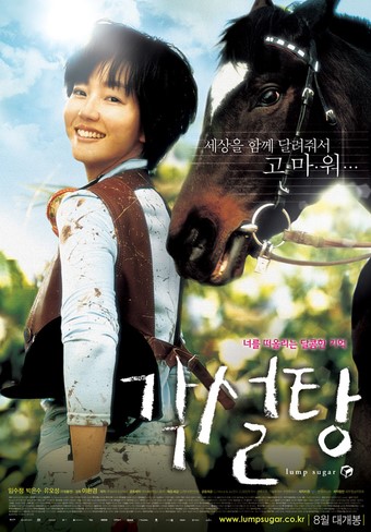 영화 각설탕 리뷰: 임수정과 천둥이의 마음을 달리는 이야기