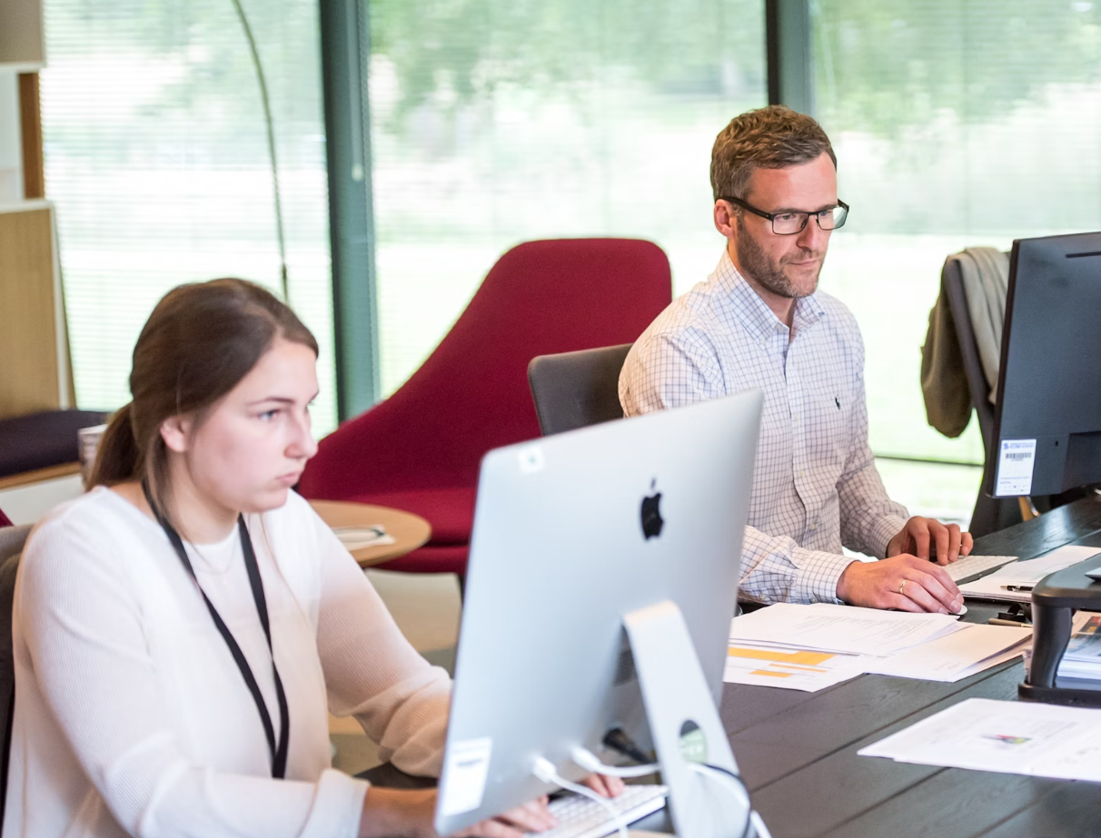 직장에서살아남기