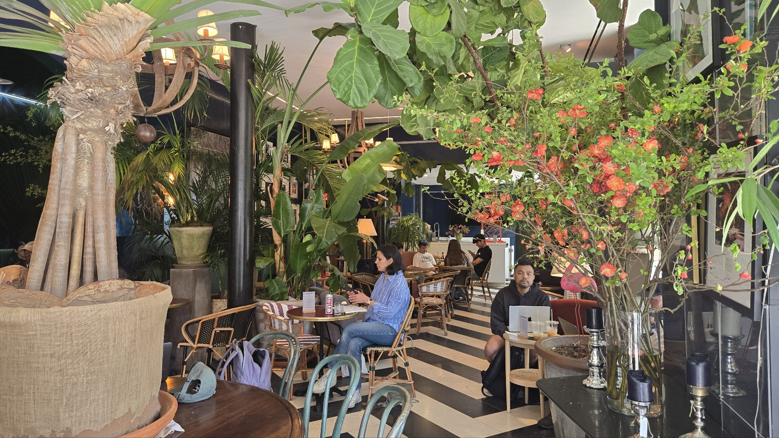 bar21 cafe 뉴욕 힐링 카페 내부 인테리어 나무와 식물로 가득차 있다,