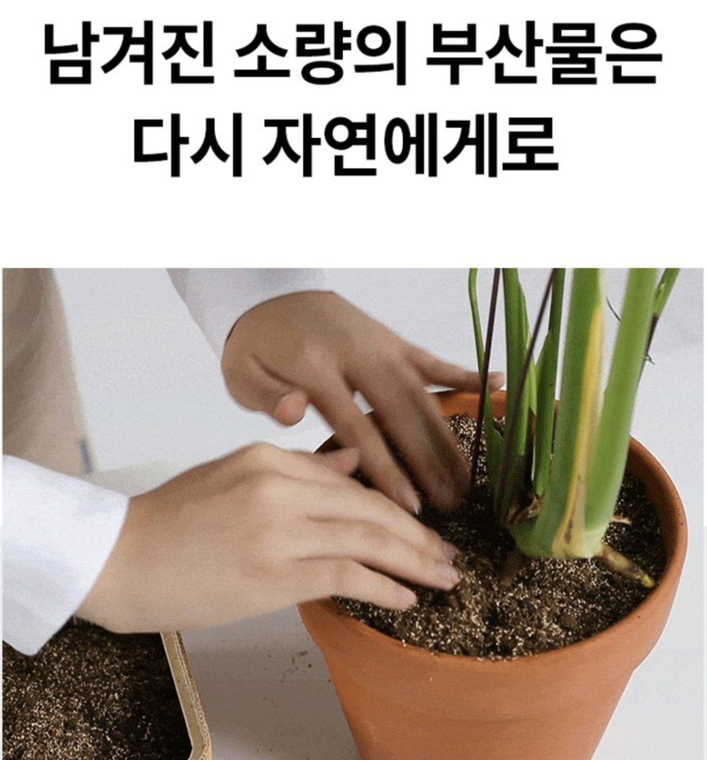 음식물처리기