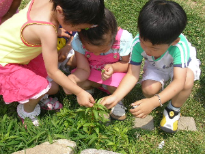 자연을 탐색하는 아이들