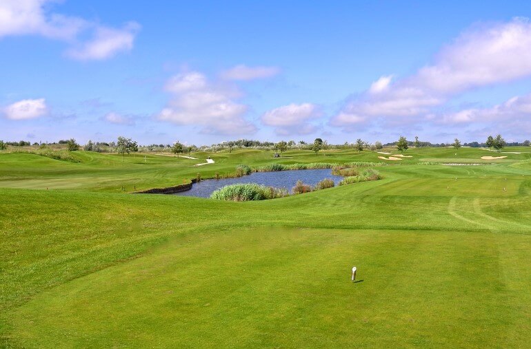 골프장 사업 부문