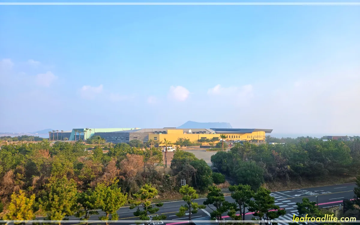 제주-휘닉스-아일랜드-A동-로얄-온돌-뷰