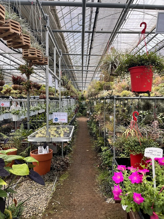 조인폴리아-쇼핑-센터