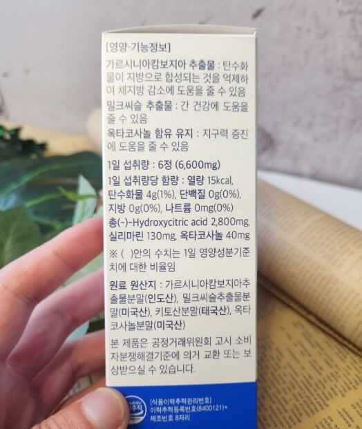 파란통 다이어트