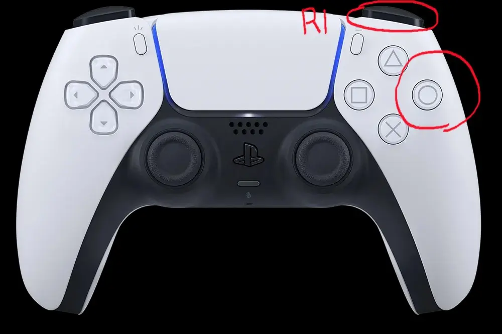 플스 엘든링 양잡 키