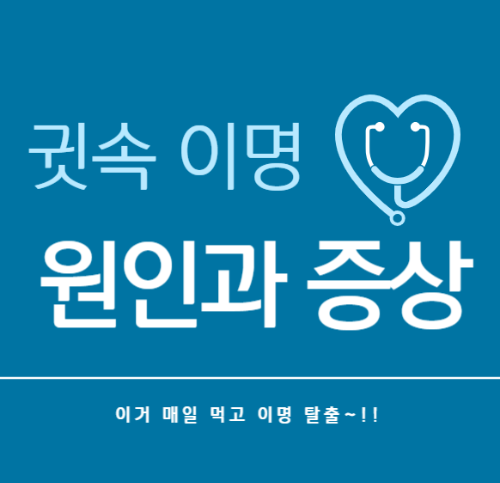 이명의 원인 및 증상&#44; 치료법
