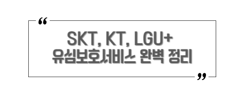 유심 해킹, 분실&middot;도난&middot;복제 걱정 끝! 유심보호서비스의 필요성과 통신사별 비교, 가입 방법까지 한 번에 정리했습니다. 개인정보 보호를 위한 필수 가이드 확인하세요.