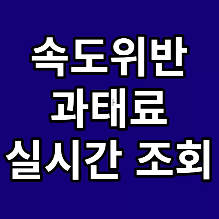 속도위반-과태료-실시간-조회-과태료-납부-방법