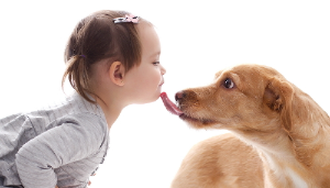 출처 구글 이미지 강아지 사진 개가 주인얼굴을 핥아주는사진