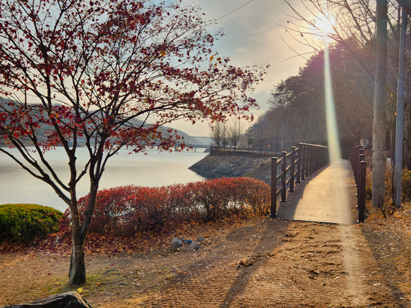 월영당으로_가는_길