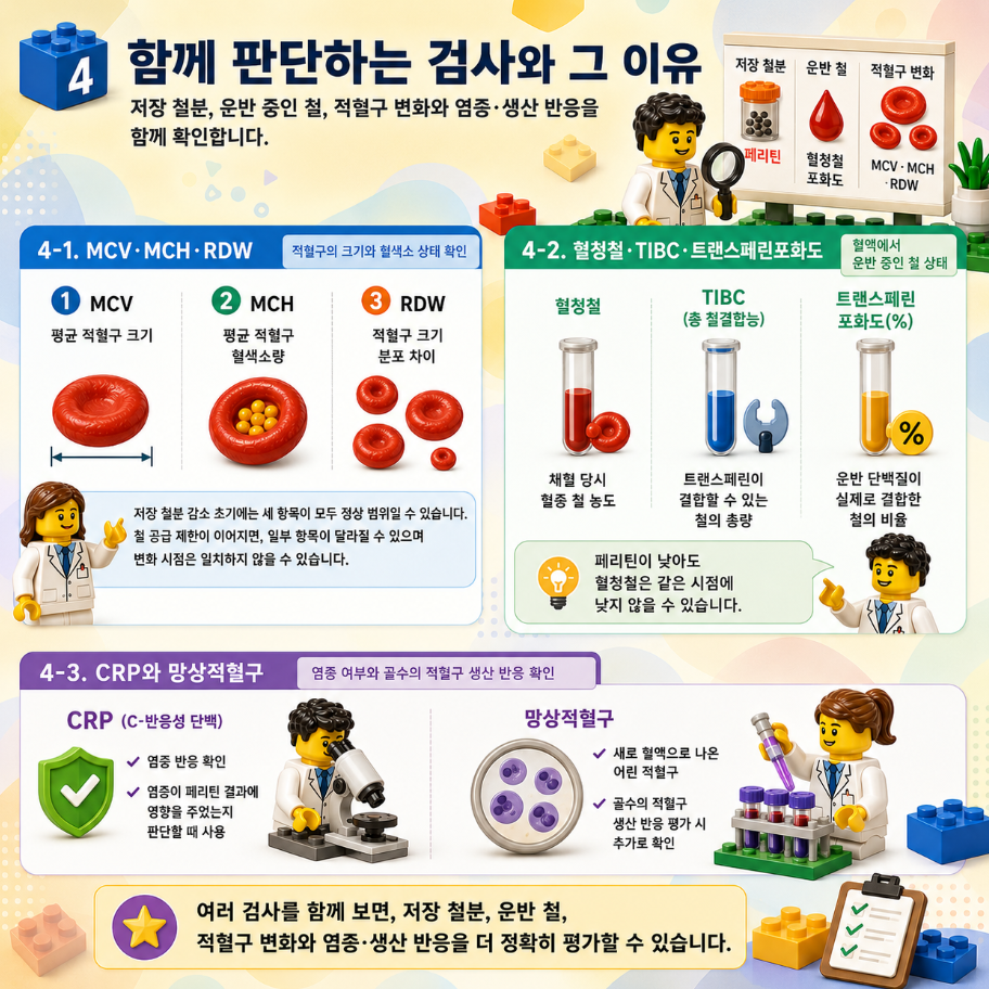 혈색소&middot;페리틴과 MCV, MCH, RDW, 혈청철, 트랜스페린포화도, CRP, 망상적혈구를 함께 해석하는 레고 스타일 메디컬 인포그래픽