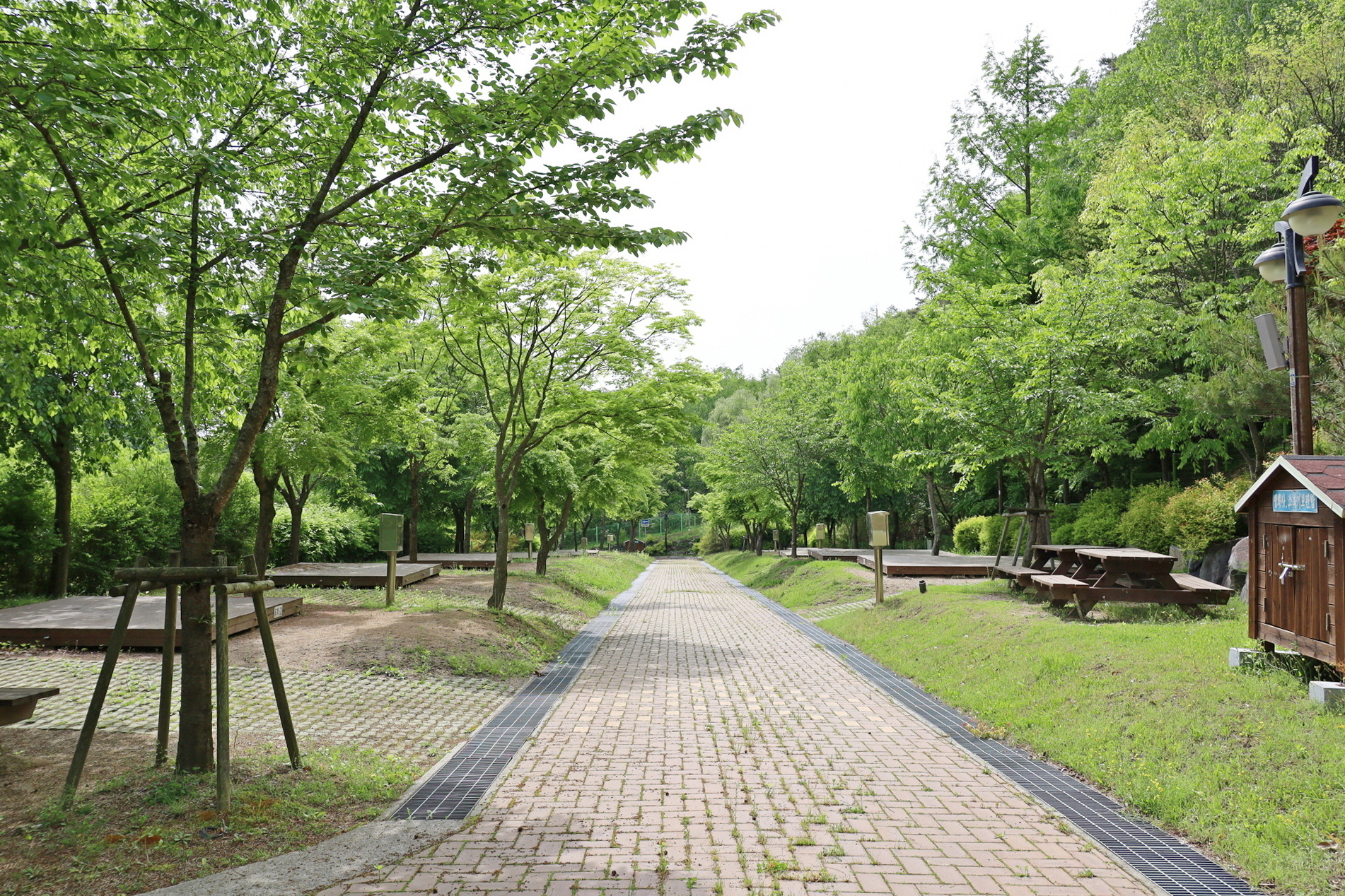 대구 팔공산 도학야영장 소개