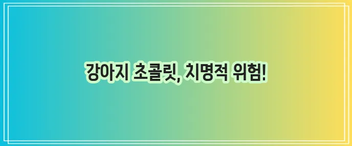 강아지와 초콜릿 반려견에게 정말 위험합니다!