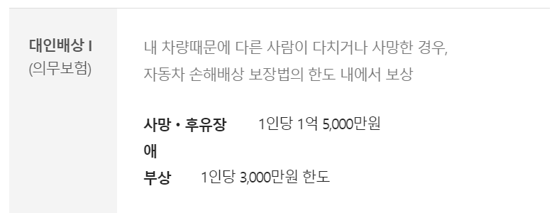 캐롯 자동차보험 보장내용