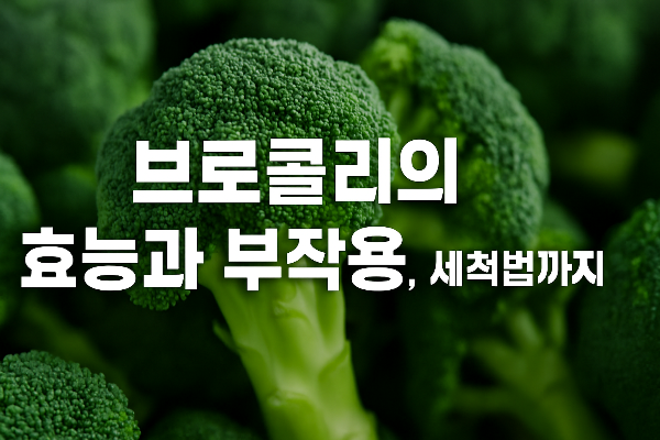 브로컬리 효능과 부작용 및 세첩법 까지 알아보기