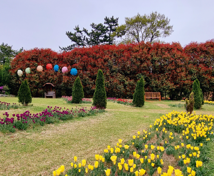 청산수목원