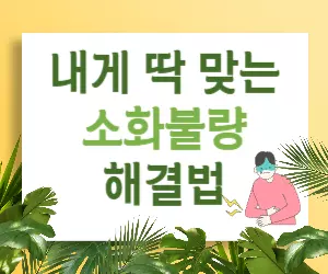 소화불량 해결법 총정리: 나에게 딱 맞는 방법 찾기!