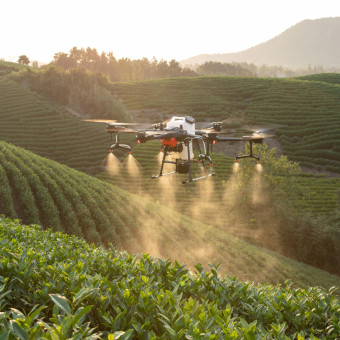 공익직불금 신청하기