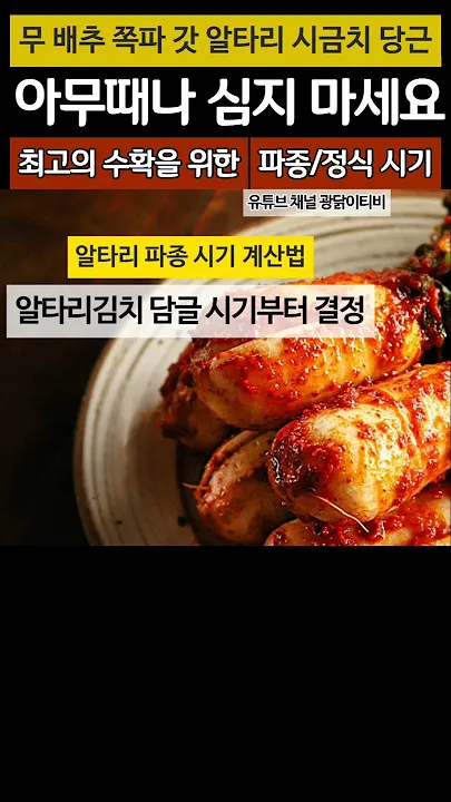 알타리무 파종시기 핵심 포인트_4